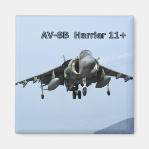 AIRPLANE-MAGNET MAGNET