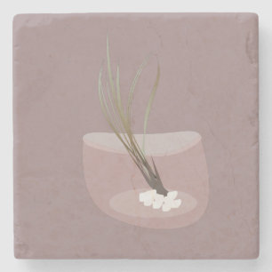 Airplant Tillandsia Pflanze Terarria Rosa Steinuntersetzer