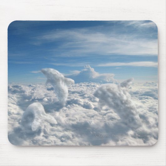 Airquatics Mousepad (Vorne)