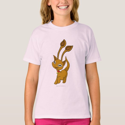 Aisha Brown T-Shirt (Vorderseite)