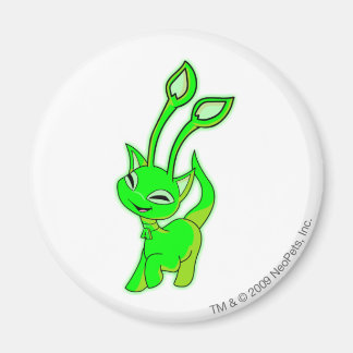 Aisha Glows Magnet