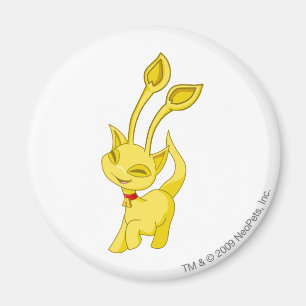 Aisha Gold Magnet