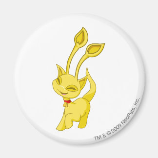 Aisha Gold Magnet