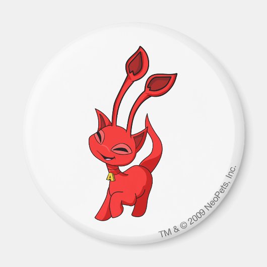 Aisha Red Magnet (Vorne)