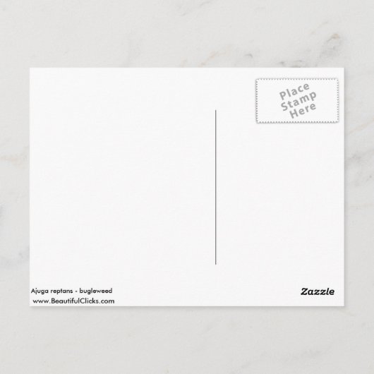 Ajuga reptans - Buglewede Postkarte (Rückseite)