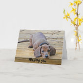 AK - Funny Dackel Vermisst You Card Karte (Gelbe Blume)