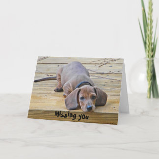 AK - Funny Dackel Vermisst You Card Karte
