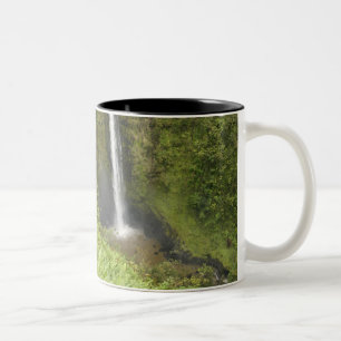 Akaka-Fälle, Hamakua-Küste, Insel Hawaii, Zweifarbige Tasse
