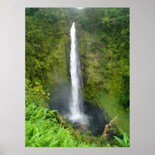 Akaka Fälle, Hawaii Poster