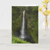 Akaka Fälle Karte (Gelbe Blume)