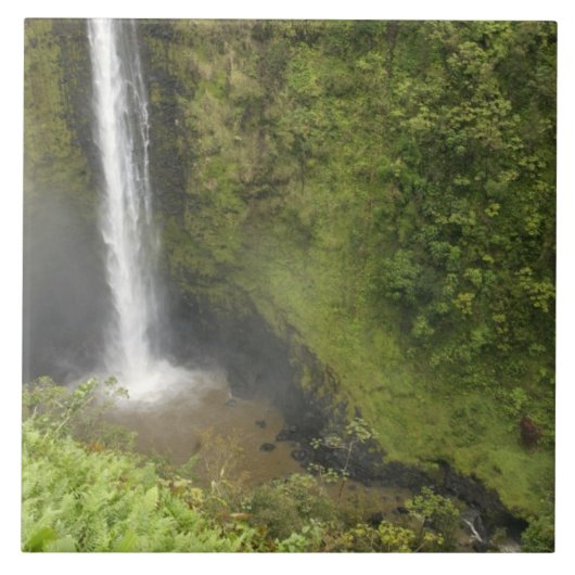 Akaka Falls, Hamakua Coast, Insel Hawaii, Fliese (Vorderseite)