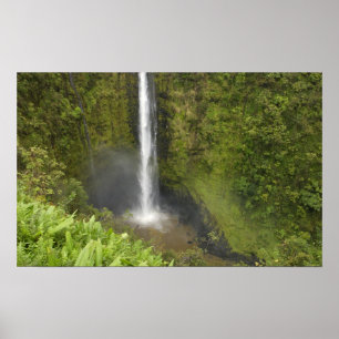 Akaka Falls, Hamakua Coast, Insel Hawaii, Poster