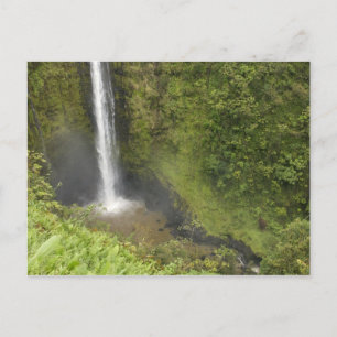 Akaka Falls, Hamakua Coast, Insel Hawaii, Postkarte