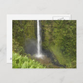 Akaka Falls, Hamakua Coast, Insel Hawaii, Postkarte (Vorne/Hinten)
