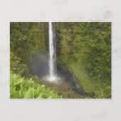 Akaka Falls, Hamakua Coast, Insel Hawaii, Postkarte (Vorderseite)