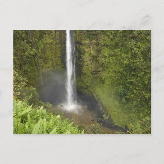 Akaka Falls, Hamakua Coast, Insel Hawaii, Postkarte (Vorderseite)