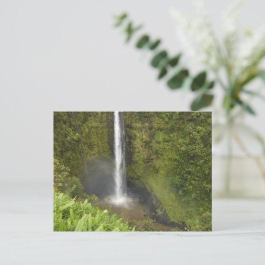 Akaka Falls, Hamakua Coast, Insel Hawaii, Postkarte (Stehend Vorderseite)