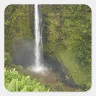 Akaka Falls, Hamakua-Küste, Insel Hawaii, Quadratischer Aufkleber