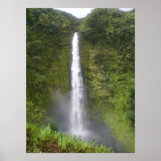 Akaka Falls Hilo, Hawaii Poster (Vorne)