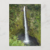 Akaka Falls Postkarte (Vorderseite)
