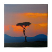 Akazie u. Sonnenuntergang über Masai-Mara-Fliese Fliese (Vorderseite)