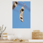 Akaziensamen Poster (Küche)