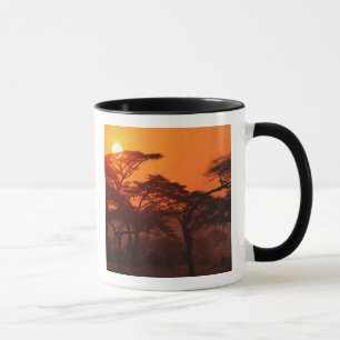 Akazienwald vor Sonnenuntergang, Tarangire Tasse