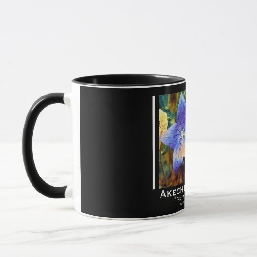 Akechi Mitsuhide [Combo Mug] Tasse (Links)