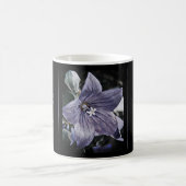 Akechi Mitsuhide [Morphing-Tasse] Verwandlungstasse (Mittel)
