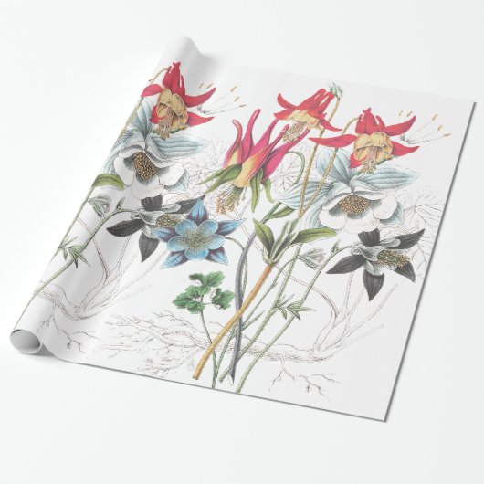 Akelei-Blumen-Geschenkpapier Geschenkpapier (Ungerollt)