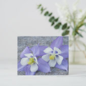 Akelei-Blumen Postkarte (Stehend Vorderseite)
