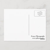 Akelei-Blumen Postkarte (Rückseite)