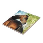 Akhal-Teke-Hengst Fliese (Seite)