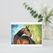 Akhal-Teke-Hengst Postkarte (Stehend Vorderseite)