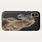 Akhal-Teke Horse Case-Mate iPhone Hülle (Rückseite (Horizontal))