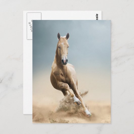 Akhal-Teke Horse Postkarte (Vorne/Hinten)