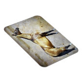 Akhal-teke Magnet (Rechte Seite)