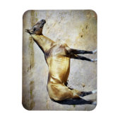 Akhal-teke Magnet (Vertikal)