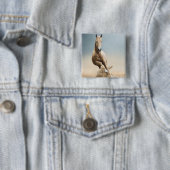 Akhal-Teke-Pferd Button (Beispiel)