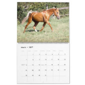 Akhal-Teke-Pferde 2011 Kalender (Mär 2027)