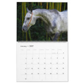 Akhal-Teke-Pferde 2011 Kalender (Jan 2027)