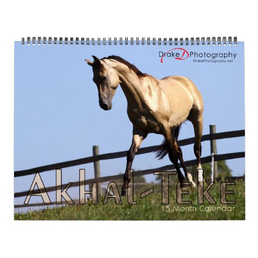 Akhal-Teke-Pferde 2011 Kalender (Titelbild)