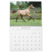 Akhal-Teke-Pferde 2 Kalender (Jan 2027)