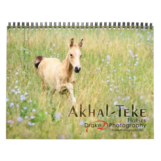Akhal-Teke-Pferde 2 Kalender (Titelbild)