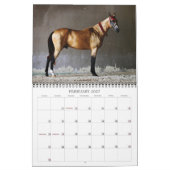 Akhal-Teke-Pferde Kalender (Feb 2027)