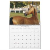 Akhal-Teke-Pferde Kalender (Jan 2027)