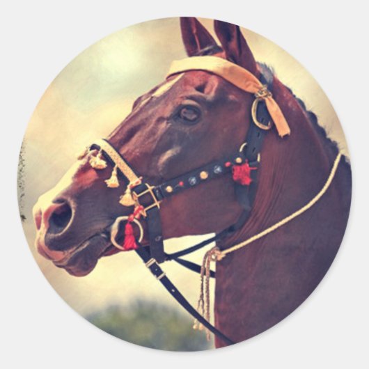 Akhal Teke Runder Aufkleber (Vorderseite)