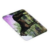 Akhal-teke Stallion Magnet (Rechte Seite)