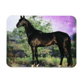 Akhal-teke Stallion Magnet (Horizontal)