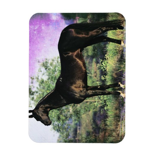 Akhal-teke Stallion Magnet (Vertikal)